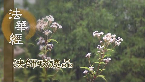 妙意根淨 明利無濁 - 第1719集