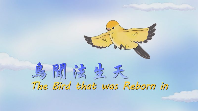 鸟闻法生天