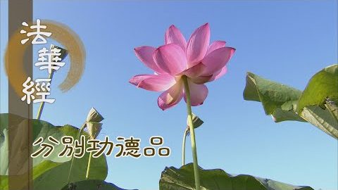 真如理體 慧命無量 - 第1557集