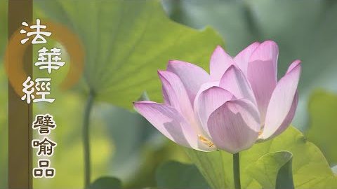 《法華經 譬喻品》除疑圓種智 - 第466集