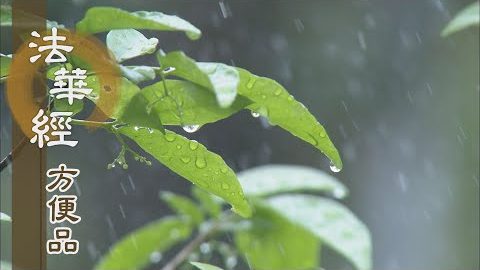心淨境莊嚴 - 第388集