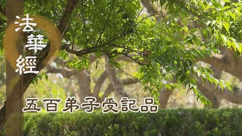 《法華經 五百弟子受記品》- 得佛授記 歡喜無量 - 第1157集