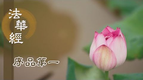 《法華經 序品第一》- 心淨入法循善緣 - 第83集