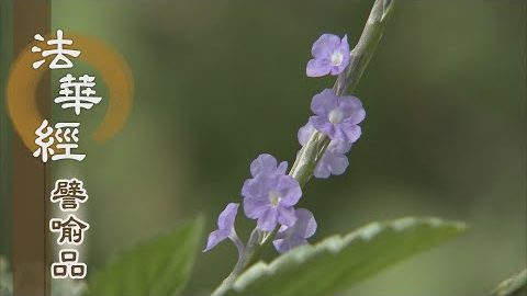 《法華經 譬喻品》心法無際 - 第537集
