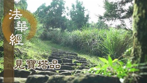 《法華經 見寶塔品》- 以願持經 精勤不怠 - 第1313集