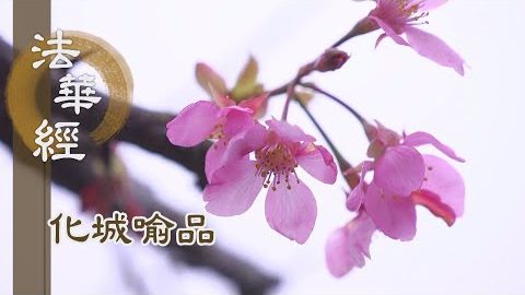《法華經 化城喻品》 - 出於三界 漸近佛慧 - 第1084集