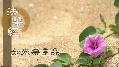 佛眼圓淨 一切皆見 - 第1519集