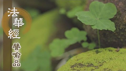 《法華經 譬喻品》真如本性 體具萬德 - 第569集