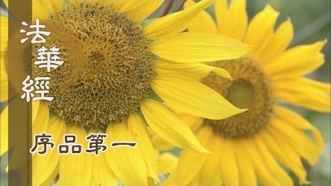 《法華經 序品第一》- 妙法隨順時代機緣 - 第12集