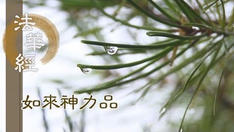 《法華經 如來神力品》覺智福慧 處群福緣 - 第1792集
