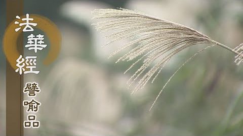 《法華經 譬喻品》法在行中得自在 - 第522集