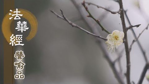 《法華經 譬喻品》一乘實法 樂說無礙 - 第567集