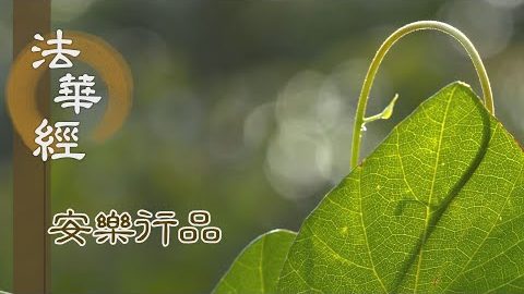 染情生苦 宜修淨戒 - 第1394集