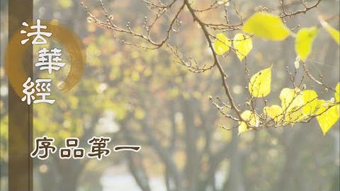 精勤修善法 - 第175集