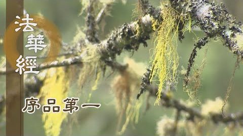 《法華經 序品第一》- 眾生皆有佛性 - 第26集