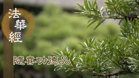 聲塵解脫 聞法得福 - 第1649集