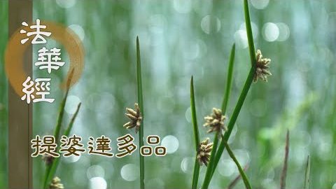 《法華經 提婆達多品》- 於無量劫 難行苦行 - 第1348集