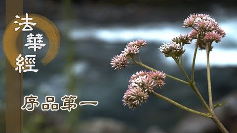 《法華經 序品第一》- 啟機請法 聞教當機 - 第70集