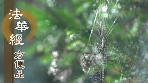 四攝入眾 隨順法度 - 第433集