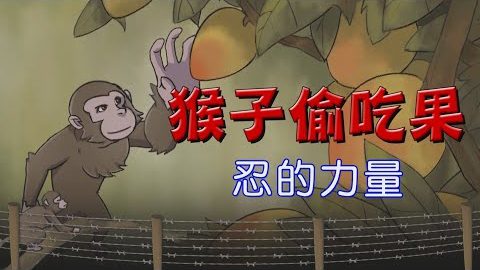 猴子偷吃果~偷吃别人的东西下场会如何呢?