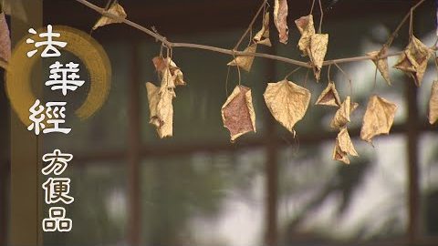 學善軟心 隨順受教 - 第419集