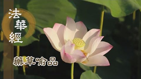 《法華經 藥草喻品》 - 漸漸修學 悉當成佛 - 第927集