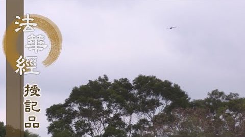 《法華經 授記品》 - 常修梵行 得成為佛 - 第951集