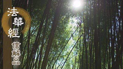 《法華經 信解品》智具方圓 莊嚴法身 - 第754集