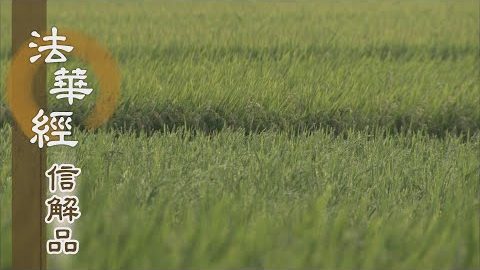 《法華經 信解品》不求大法 失三乘慧 - 第764集