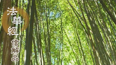 《法華經 信解品》信願力行悟方等 - 第801集