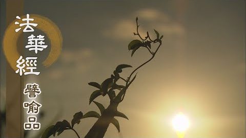 《法華經 譬喻品》福業功德 回向佛道 - 第520集