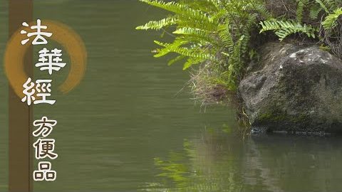 大法難投需施權 - 第436集