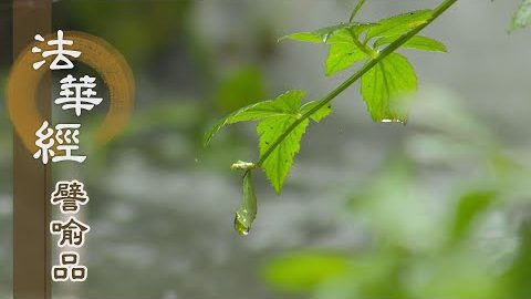 《法華經 譬喻品》智慧方便 權實並用 - 第595集