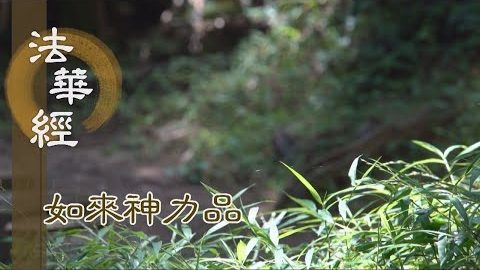 《法華經如來神力品》神通力用 融通自在 - 第1769集