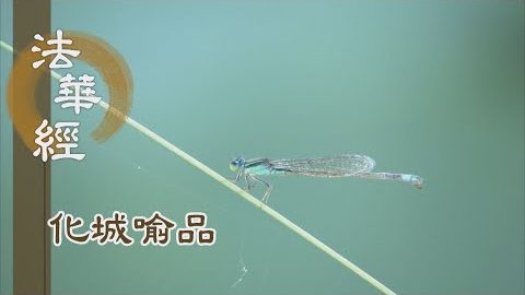 《法華經 化城喻品》 - 願為世間說諦理 - 第1001集