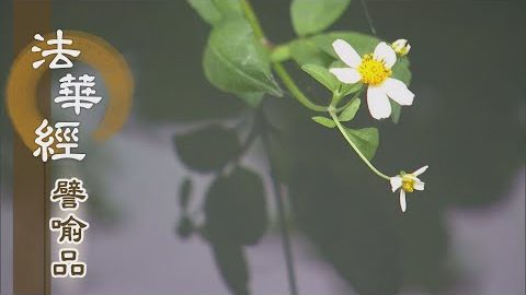 《法華經 譬喻品》復憶初心 - 第490集