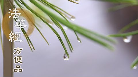 聲聞依教奉行 - 第227集