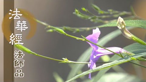 《法華經 法師品》- 祕要隱護 未曾顯說 - 第1224集