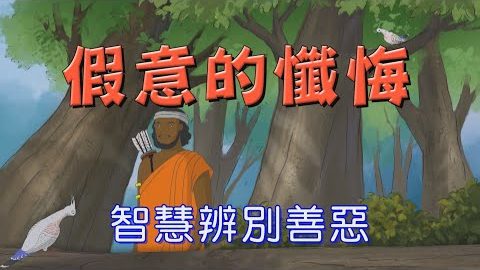 假意的忏悔~为何吉利鸟看到他会一直叫呢?