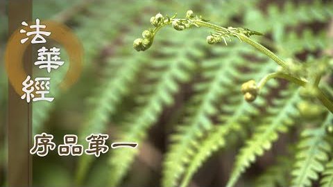 《法華經 序品第一》- 持戒為入道因緣 - 第91集