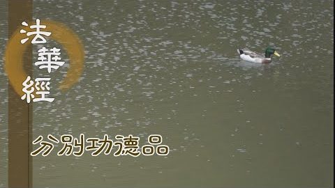 信解慧明 開般若門 - 第1584集
