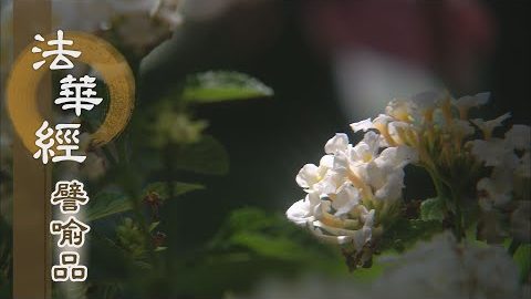 《法華經 譬喻品》無漏三學共一心 - 第553集