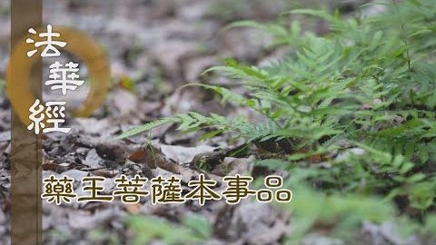 《法華經 藥王菩薩本事品》安隱快樂 寂靜妙常 - 第1814集