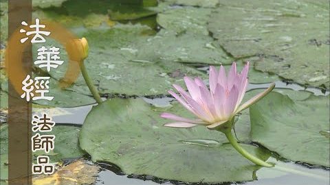 《法華經 法師品》- 修持福德 證一切智 - 第1216集