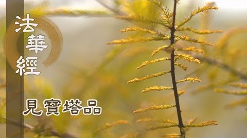 《法華經 見寶塔品》- 寶樹莊嚴 五忍為座 - 第1276集