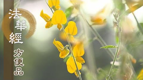 《法華經 方便品》 - 煩惱生濁 受法淨心 - 第312集