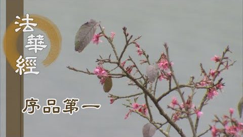 《法華經 序品第一》- 會道法華淨萻提 - 第34集