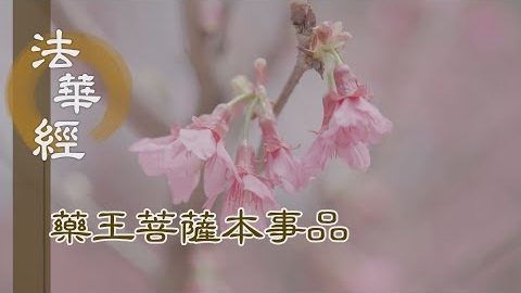 《法華經 藥王菩薩本事品》弘揚法華 無邊功德 - 第1850集