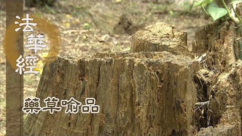 《法華經 藥草喻品》 - 聲聞緣覺 漸入一乘 - 第923集