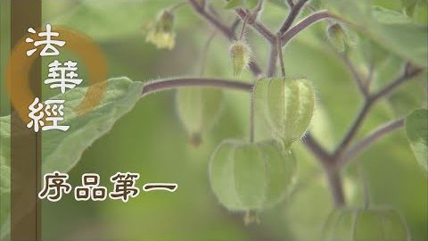 《法華經 序品第一》- 劫賓那 憍梵波提 - 第47集